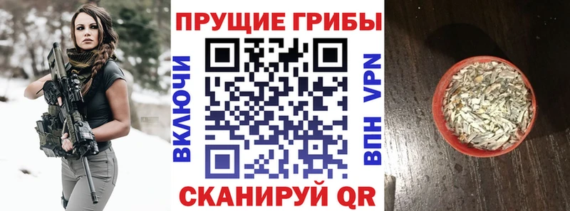 Псилоцибиновые грибы прущие грибы  Мостовской 